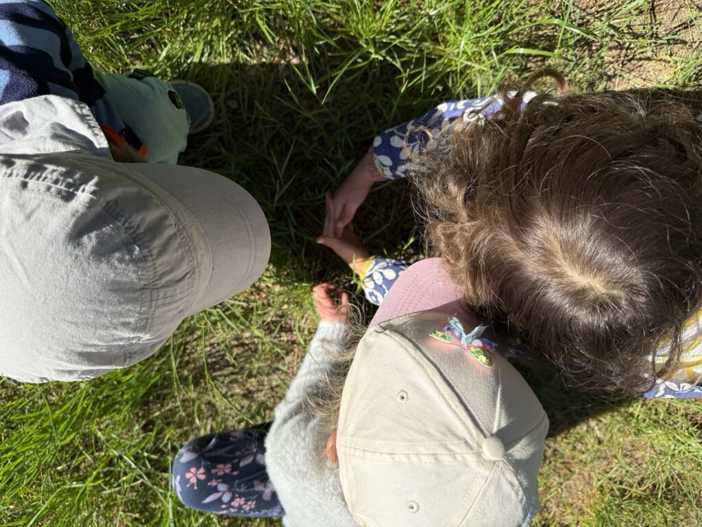 Bild von Kindern die die Natur erforschen
